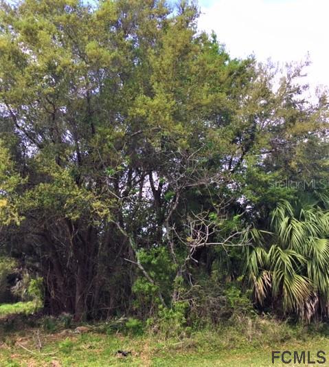 77 Lynbrook Dr., Palm Coast, FL 32137