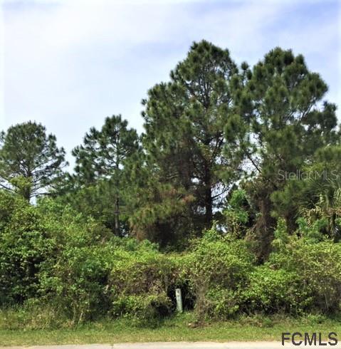 79 Lynbrook Dr., Palm Coast, FL 32137