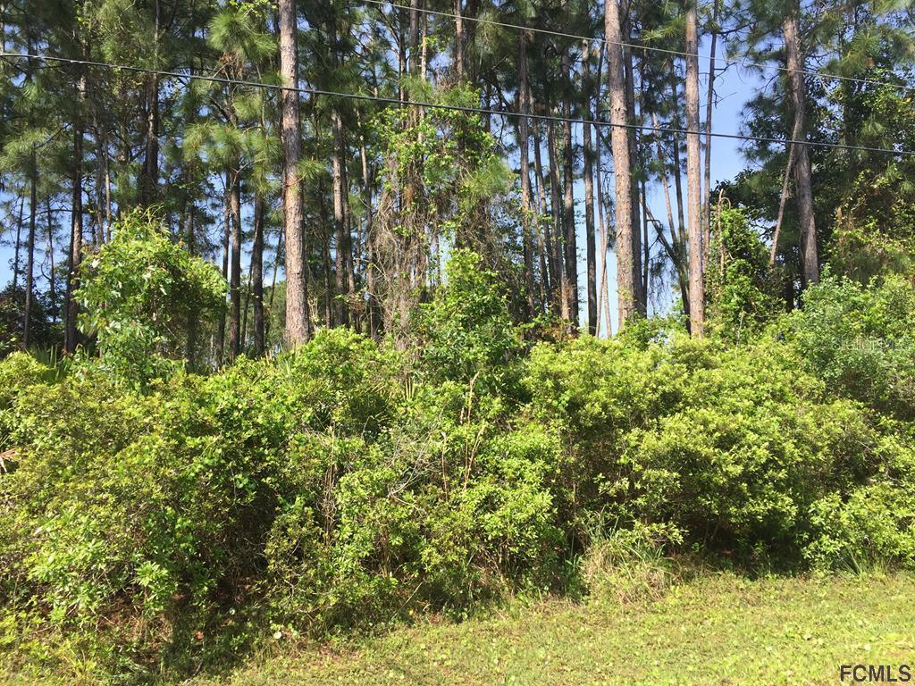 65 Lindsay Dr., Palm Coast, FL 32137