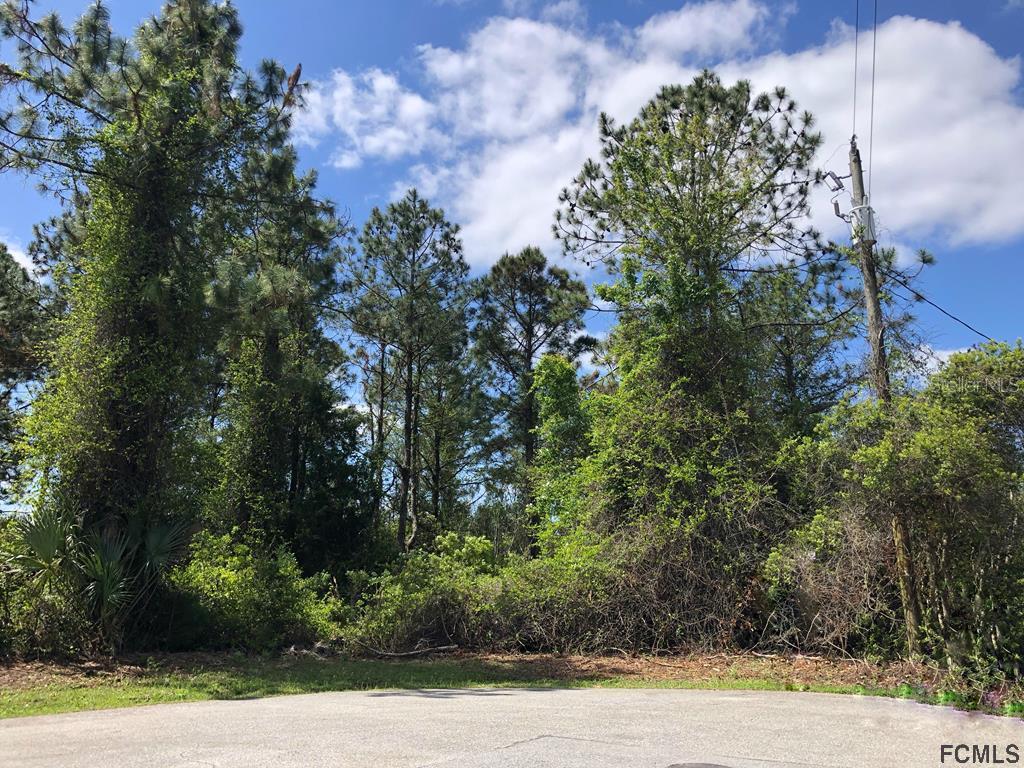 11 Uhler Ct., Palm Coast, FL 32164