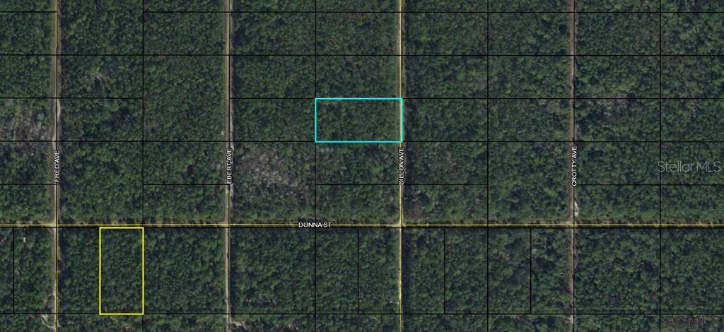 XX Dillon Ave., Bunnell, FL 32110