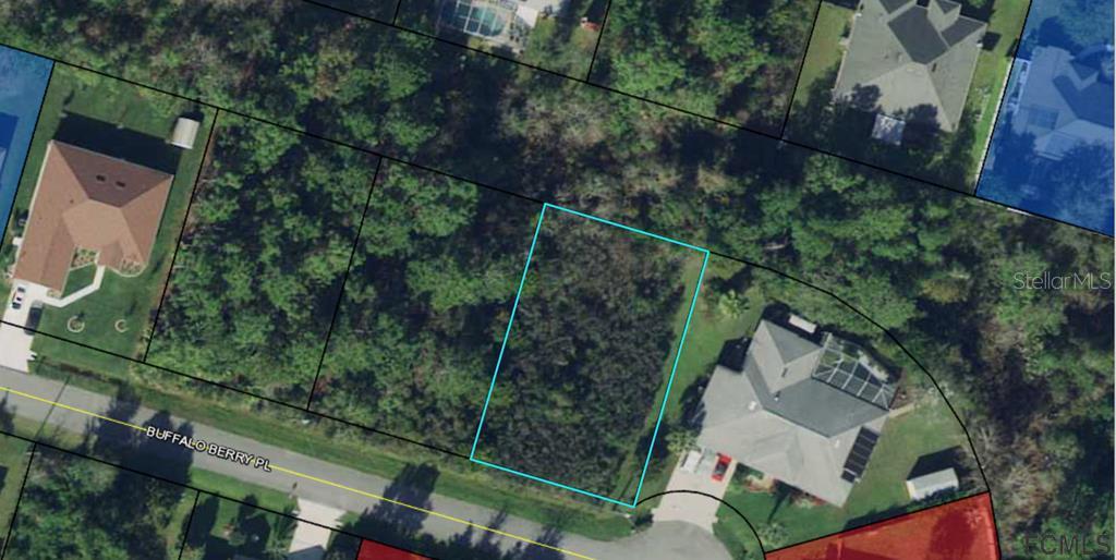 17 Buffalo Berry Pl., Palm Coast, FL 32137