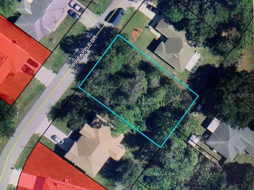 20 Pineapple Dr., Palm Coast, FL 32164