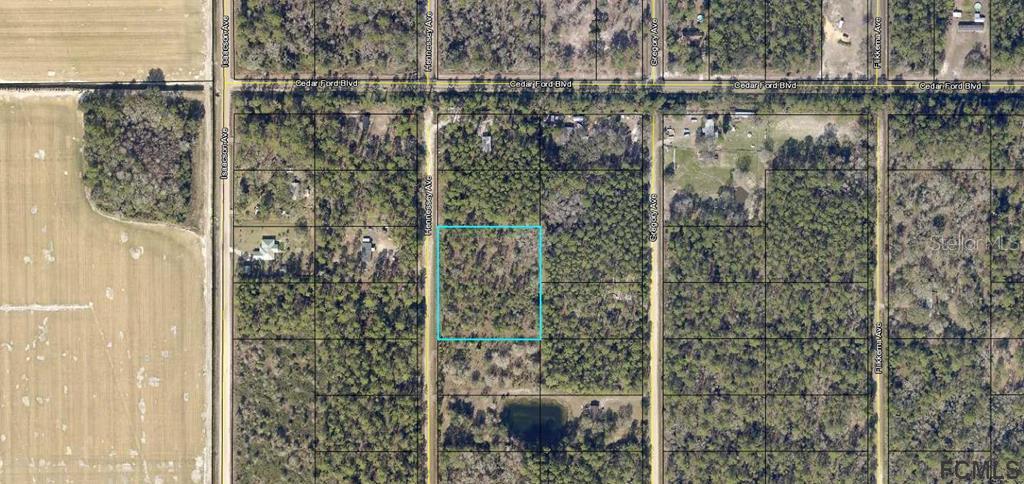 10420 Hennessey Ave., Hastings, FL 32145