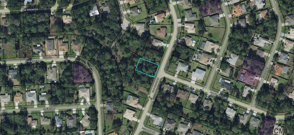 159 Pine Grove Dr., Palm Coast, FL 32164