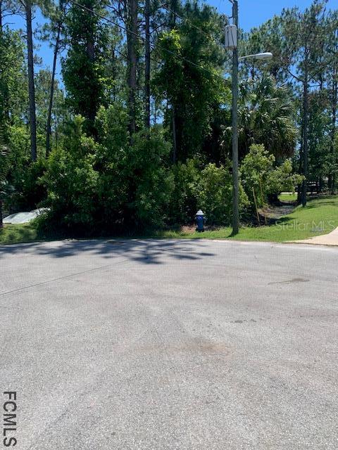 15 Rainbush Pl., Palm Coast, FL 32164