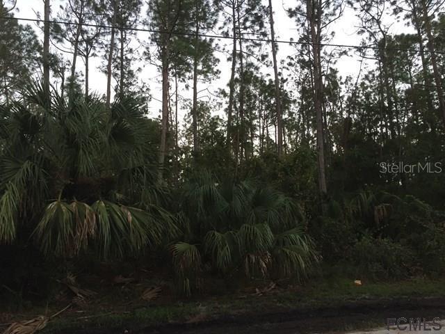 25 Potterville Ln., Palm Coast, FL 32164