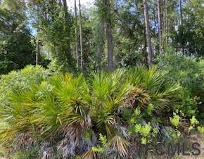 91 Raemoor Dr., Palm Coast, FL 32164