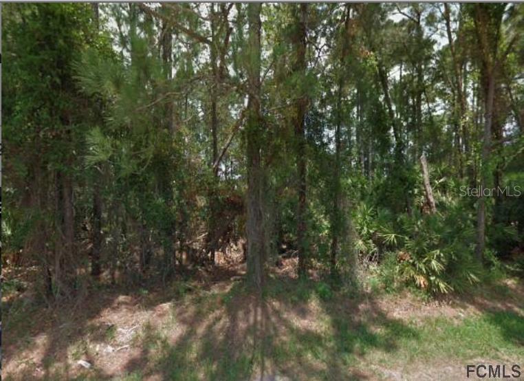 70 Forrester Pl., Palm Coast, FL 32137
