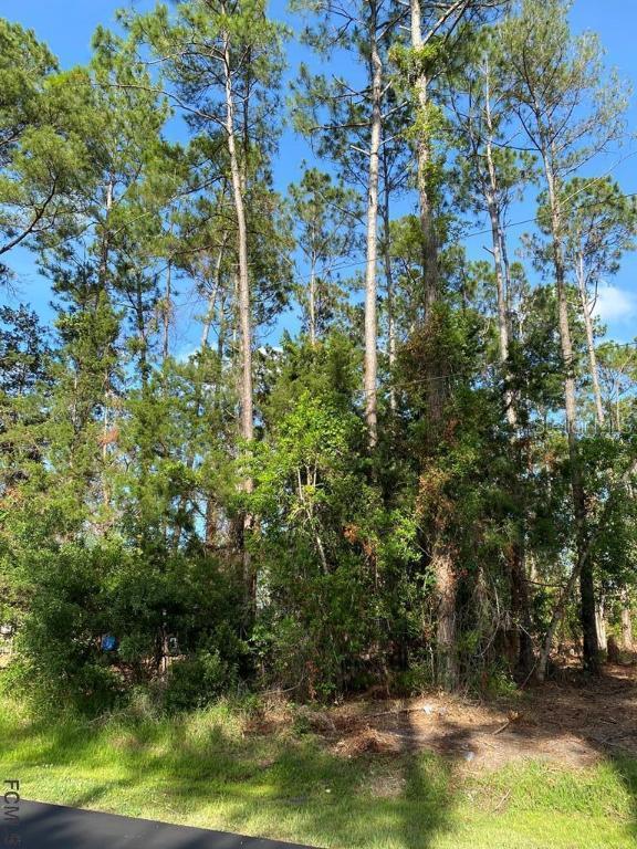 84 Evans Dr., Palm Coast, FL 32164