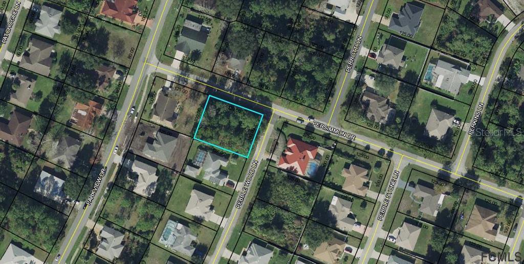 53 Pebble Wood Ln., Palm Coast, FL 32164