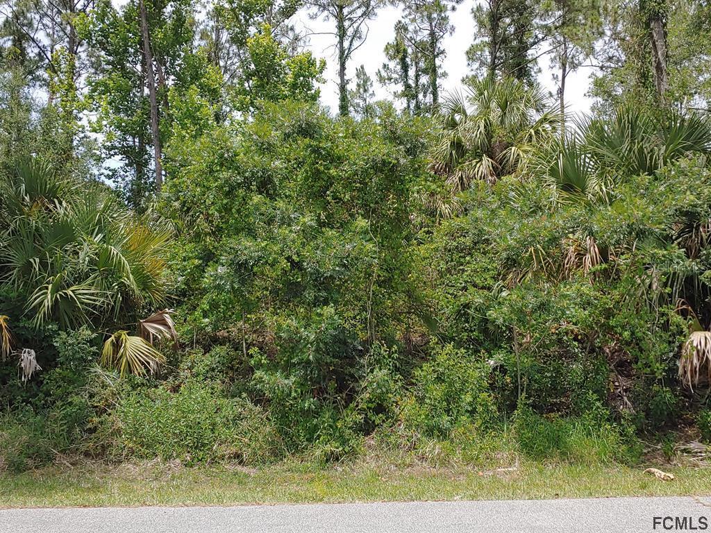 19 Round Thorn Dr., Palm Coast, FL 32164