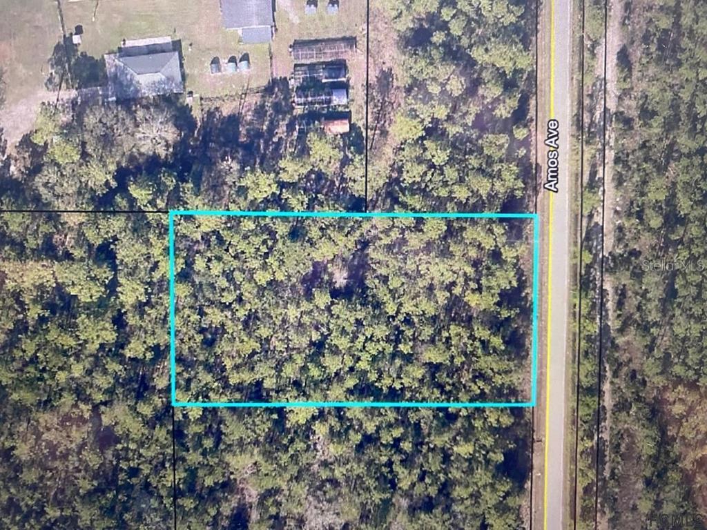 10415 Amos Ave., Hastings, FL 32145