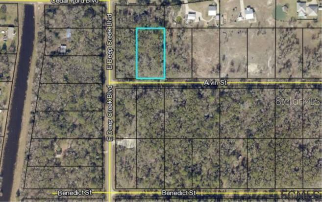 4780 Alvin St., Hastings, FL 32145
