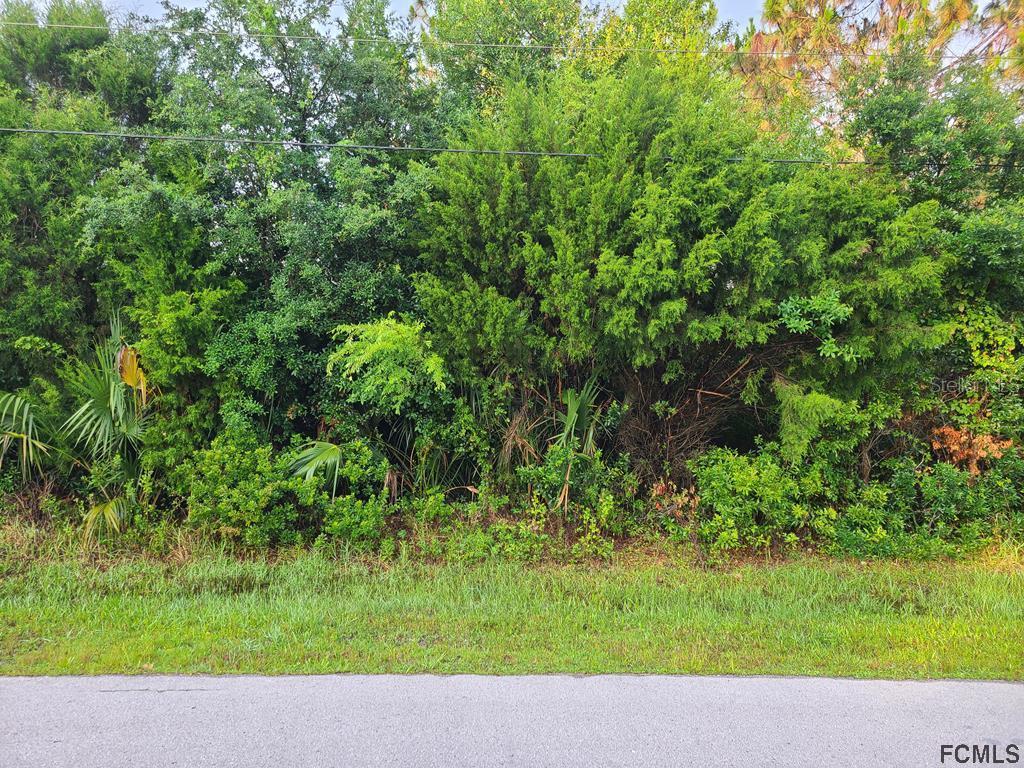 6 Bird Tree Pl., Palm Coast, FL 32137