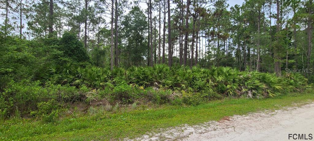 2278 Holly Ln., Bunnell, FL 32110