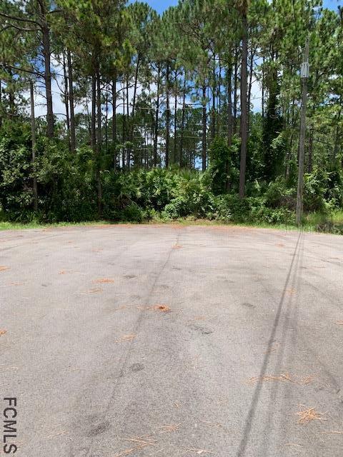 9 Ryecarr Pl., Palm Coast, FL 32164