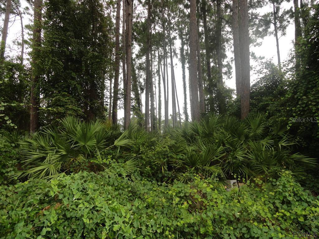 55 Burning Bush Dr., Palm Coast, FL 32137