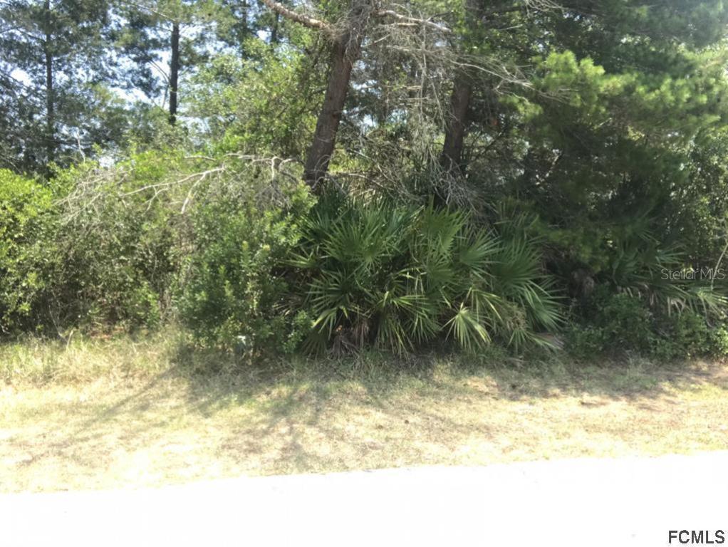 25 Firethorn Ln., Palm Coast, FL 32137