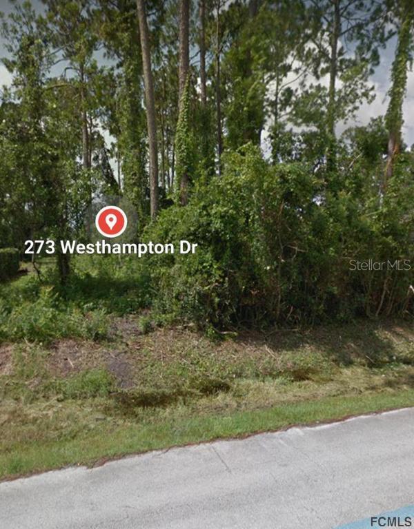 273 Westhampton Dr., Palm Coast, FL 32164