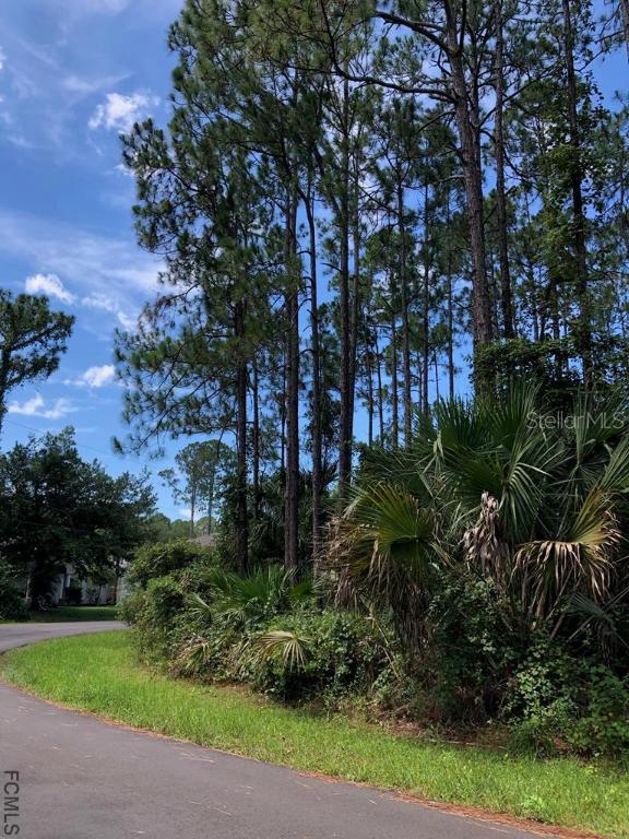 58 Richmond Dr., Palm Coast, FL 32164