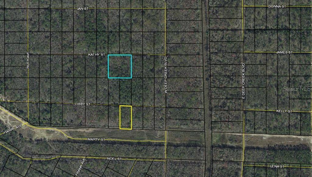 0000 Kathy St., Bunnell, FL 32110