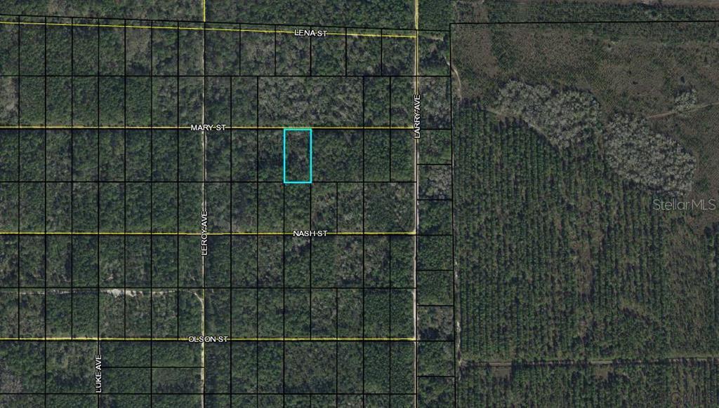 0000 Mary St., Bunnell, FL 32110