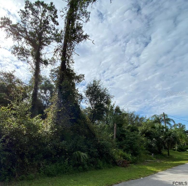 42 Fulton Pl., Palm Coast, FL 32137