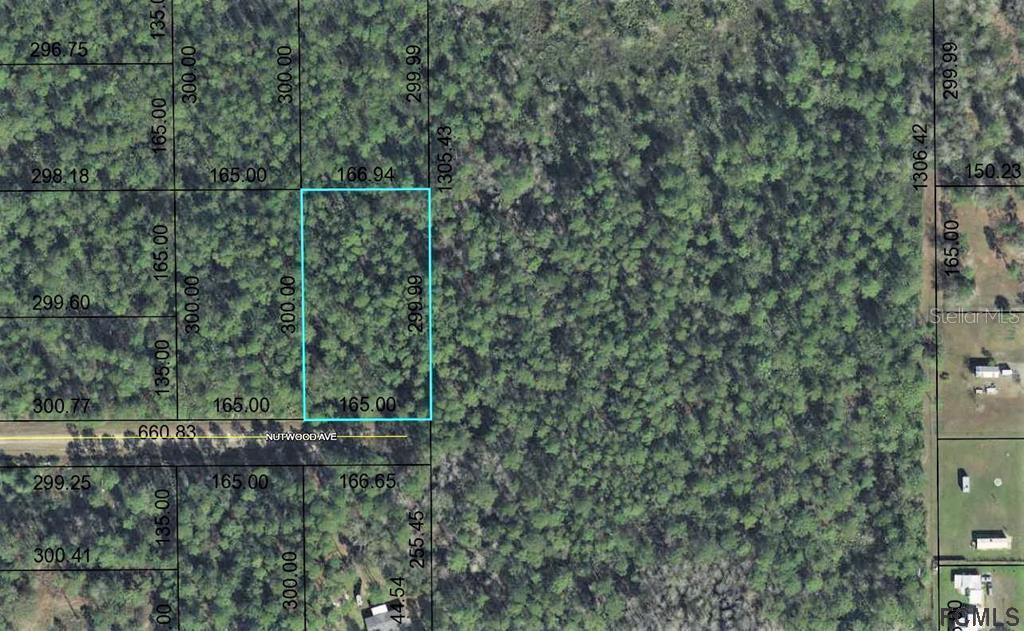 5356 Nutwood Ave., Bunnell, FL 32110