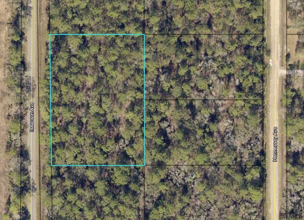 10660 Isaacson Ave., Hastings, FL 32145