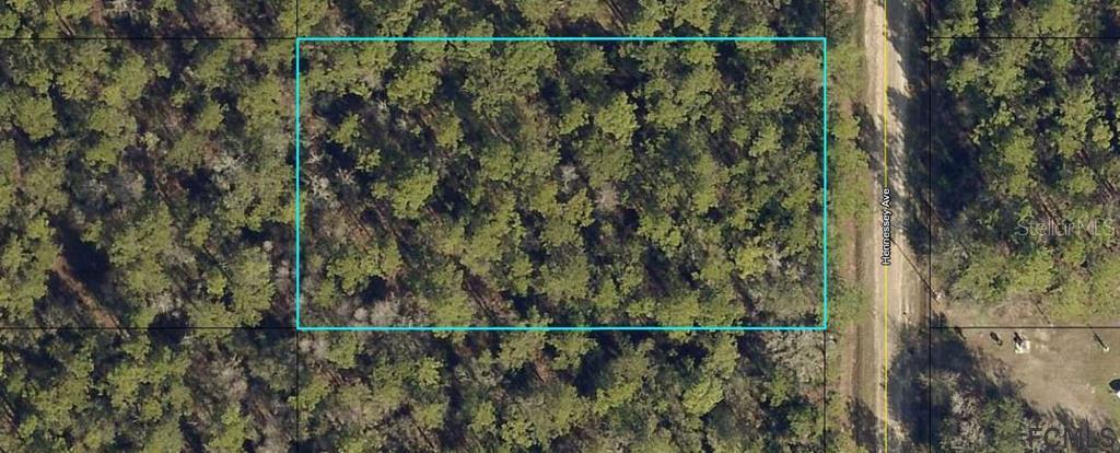 10055 Hennessey Ave., Hastings, FL 32145