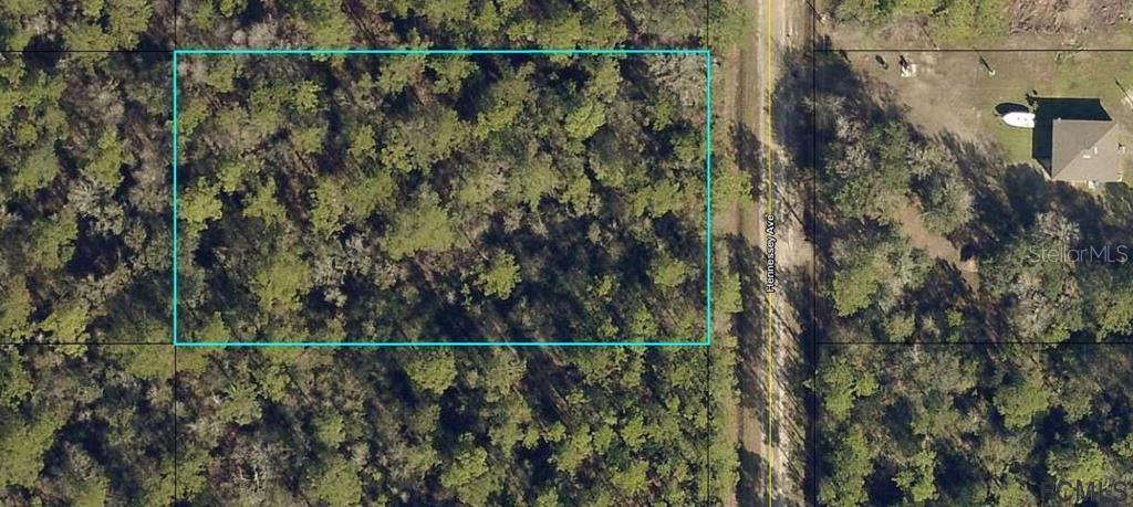 10065 Hennessey Ave., Hastings, FL 32145