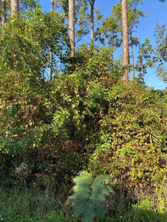 404 Bryan Ave., Flagler Beach, FL 32136