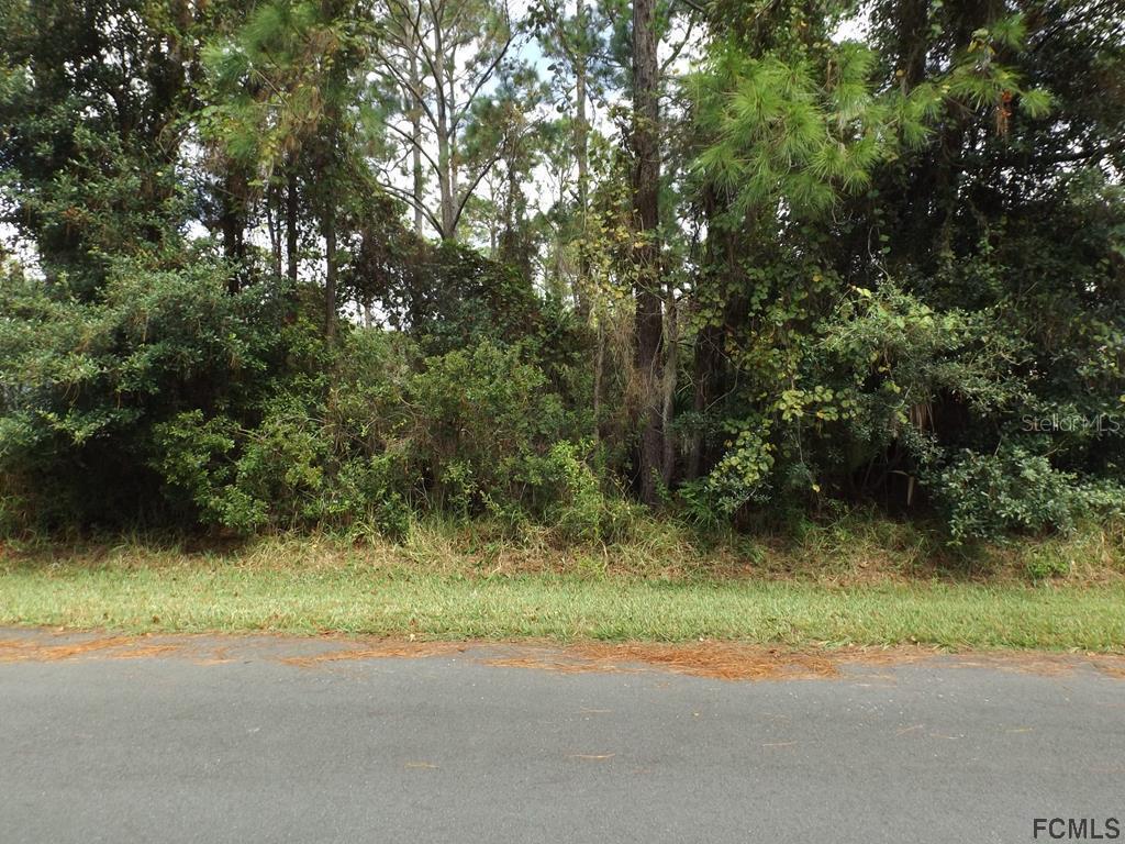 55 Foxhall Ln., Palm Coast, FL 32137