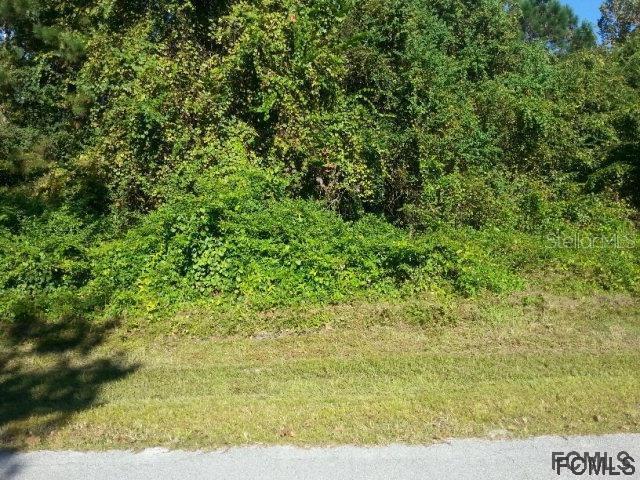 53 Fenimore Ln., Palm Coast, FL 32137