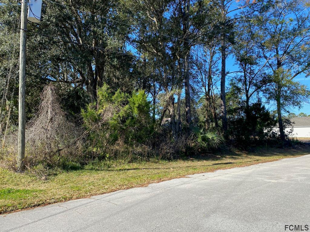 3 Wheeldon Ln., Palm Coast, FL 32164