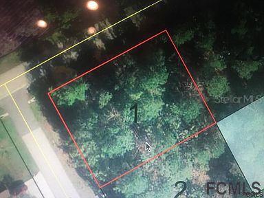 1 Pinelark Ln., Palm Coast, FL 32164