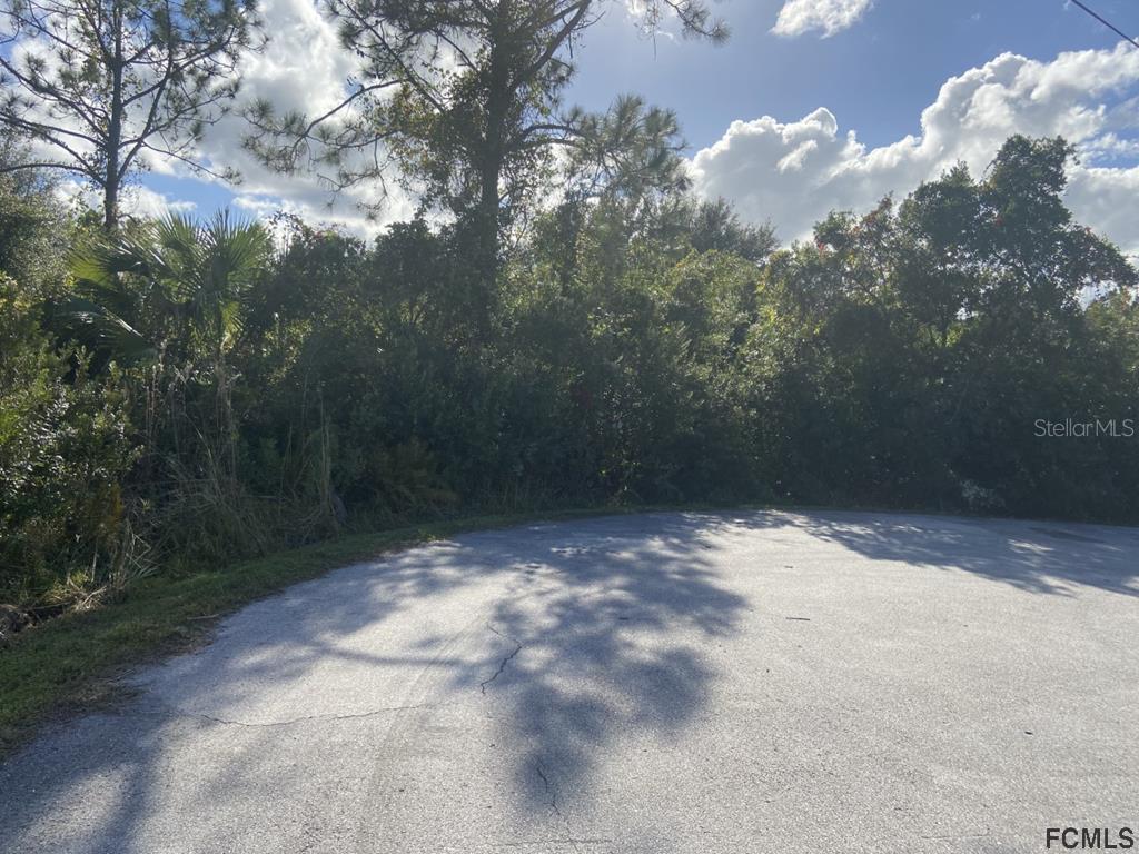 10 Lewisdale Pl., Palm Coast, FL 32137