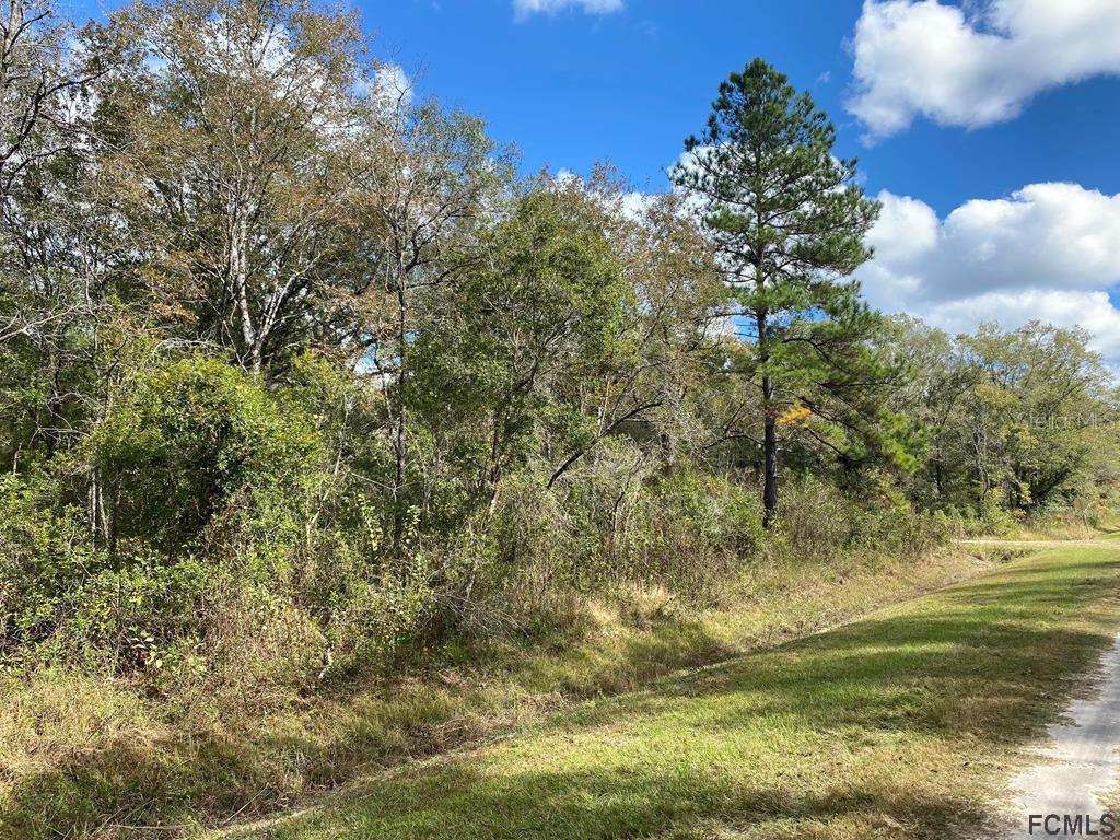 10355 Stycket Ave., Hastings, FL 32145