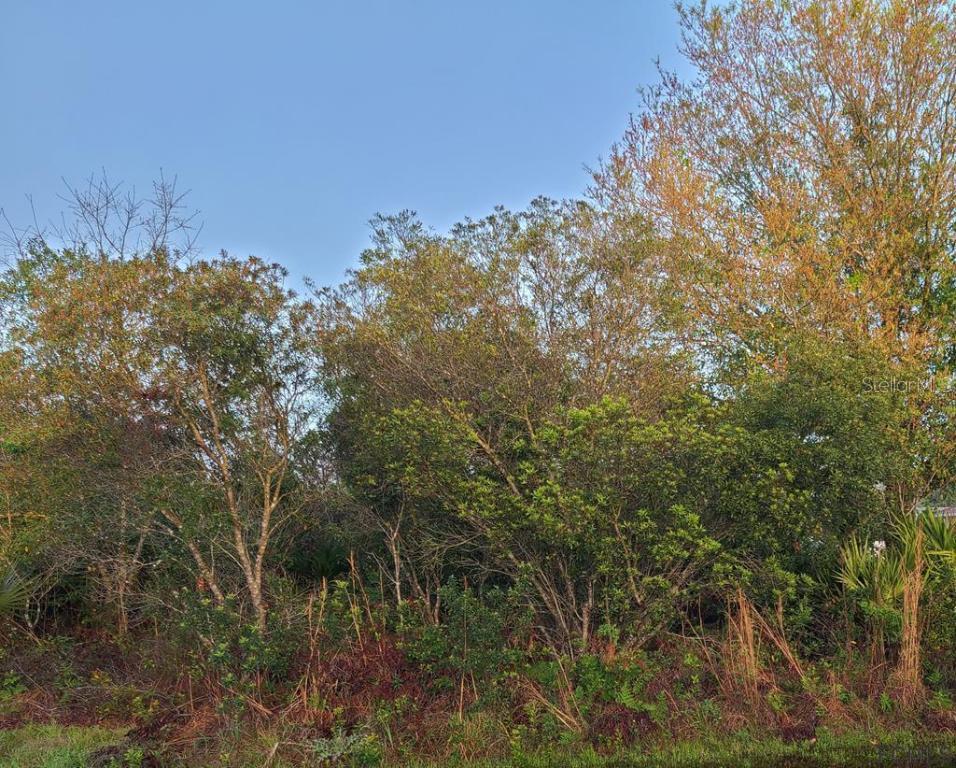 11 Laramie Dr., Palm Coast, FL 32137