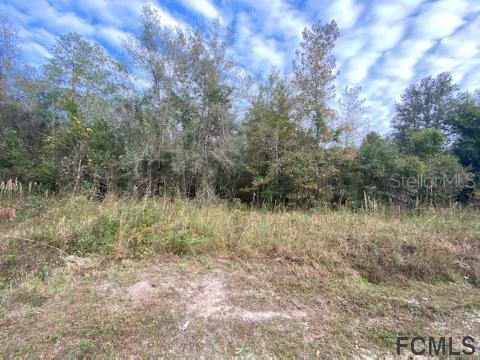 10220 Yeager Ave., Hastings, FL 32145