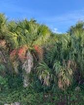 14 Collingwood Ln., Palm Coast, FL 32137