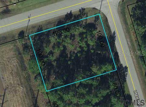 255 Underwood Tr., Palm Coast, FL 32164