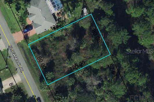 102 Sloganeer Tr., Palm Coast, FL 32164