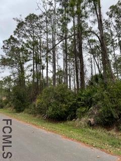 7 Ricker Pl., Palm Coast, FL 32164