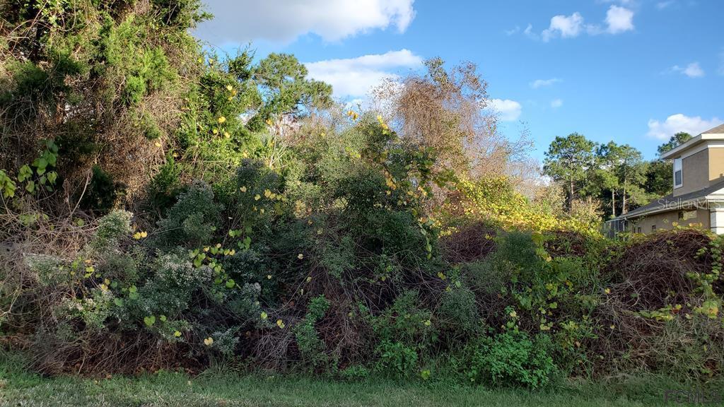 54 Lynbrook Dr., Palm Coast, FL 32137