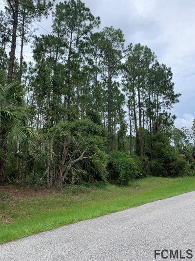 37 Squash Blossom Tr., Palm Coast, FL 32164