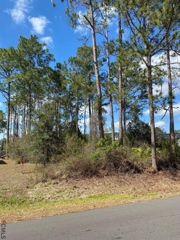 28 Evansville Ln., Palm Coast, FL 32164