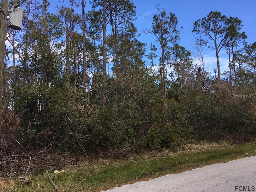 58 Renshaw Dr., Palm Coast, FL 32164