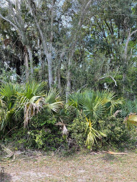 95 Palmwood Dr., Palm Coast, FL 32164